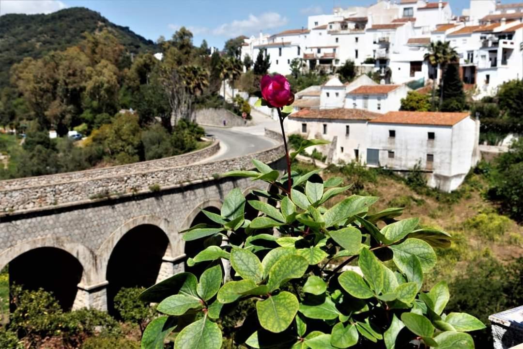 Casa Rural Sierras De Gaucin Apartment Exterior foto