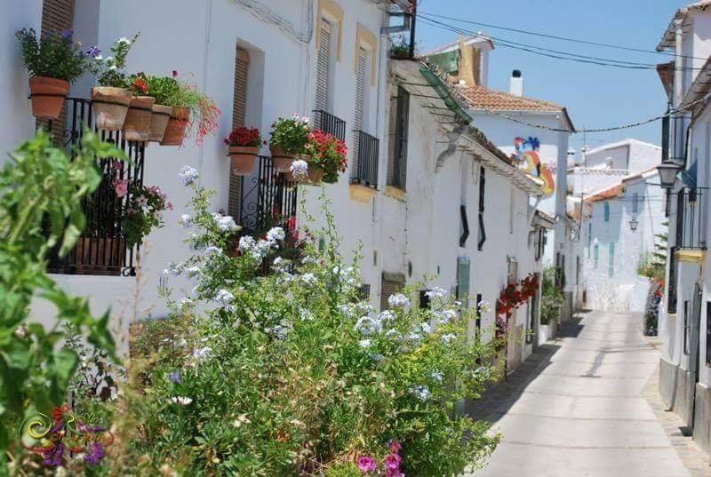 Casa Rural Sierras De Gaucin Apartment Exterior foto